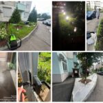 Работы за период с 4 по 10 августа